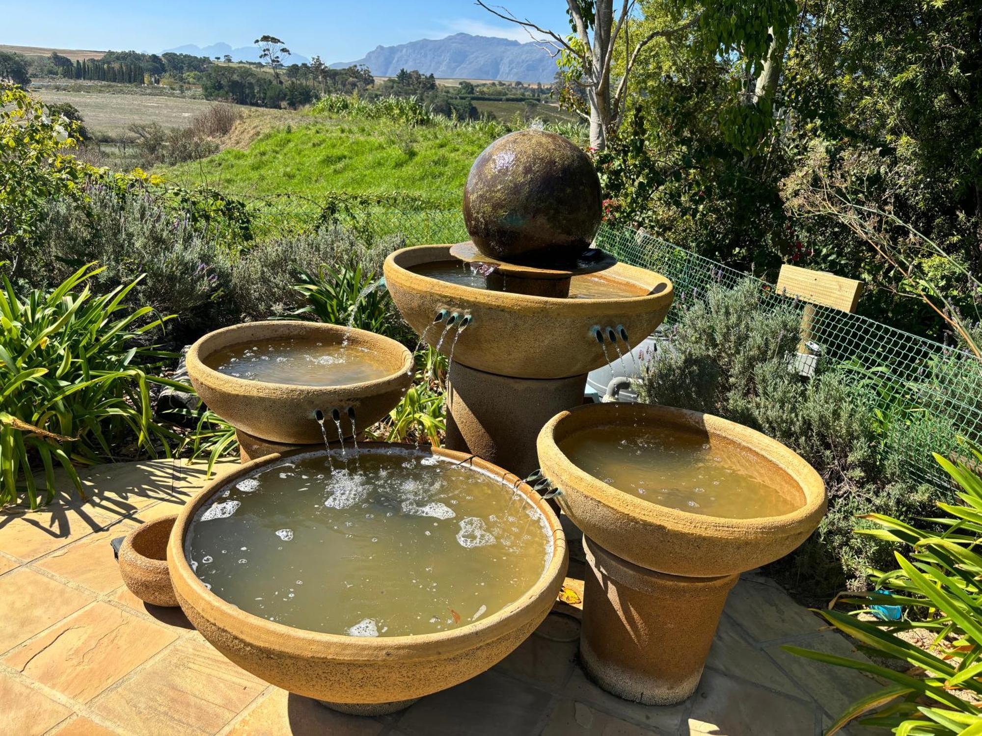 In The Vine Country Manor Guesthouse Stellenbosch Bagian luar foto