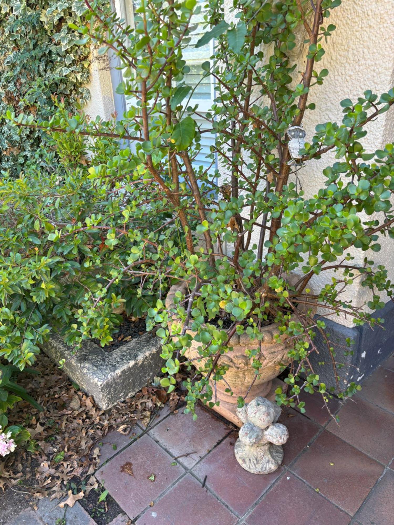 In The Vine Country Manor Guesthouse Stellenbosch Bagian luar foto