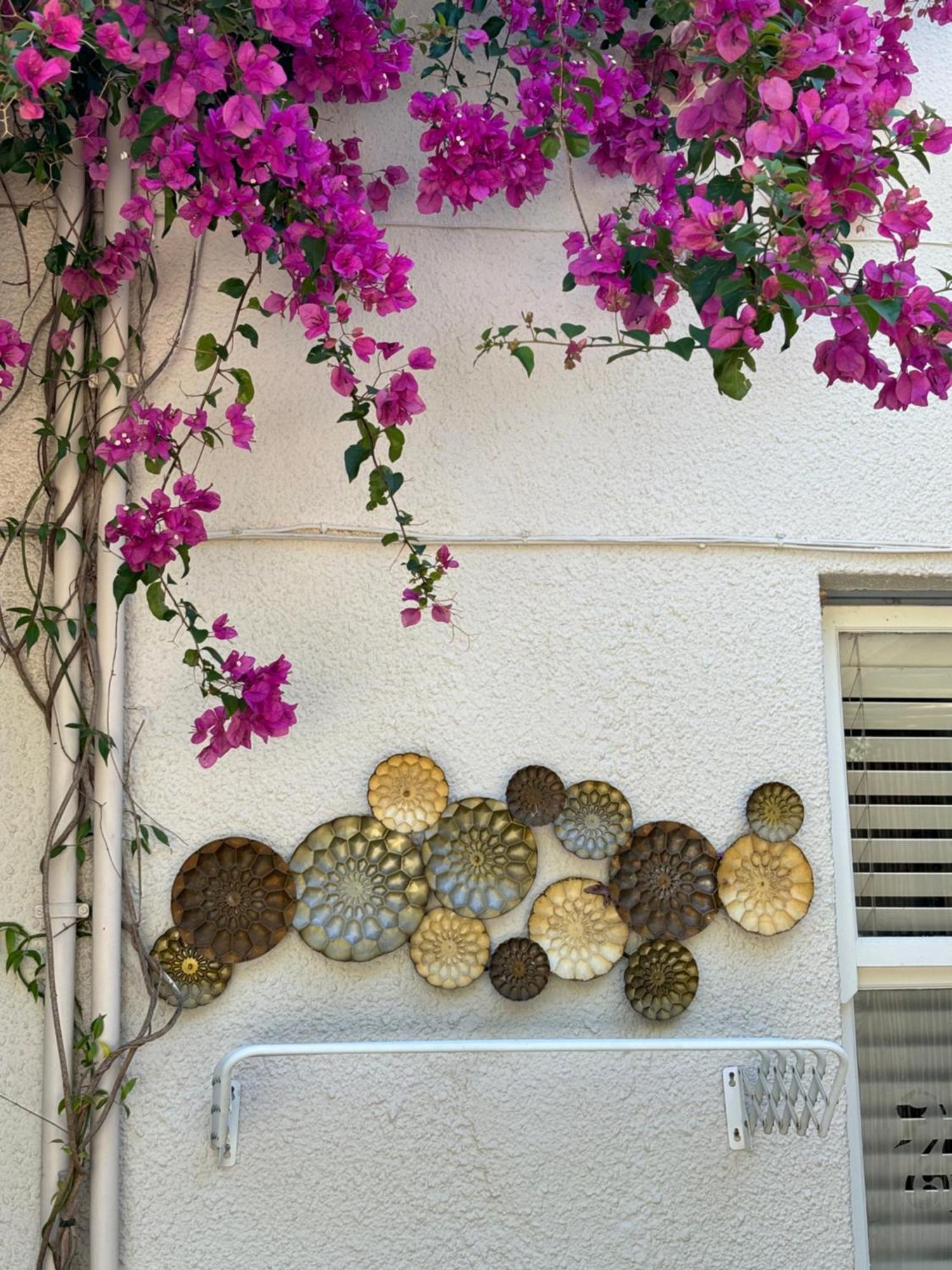 In The Vine Country Manor Guesthouse Stellenbosch Bagian luar foto