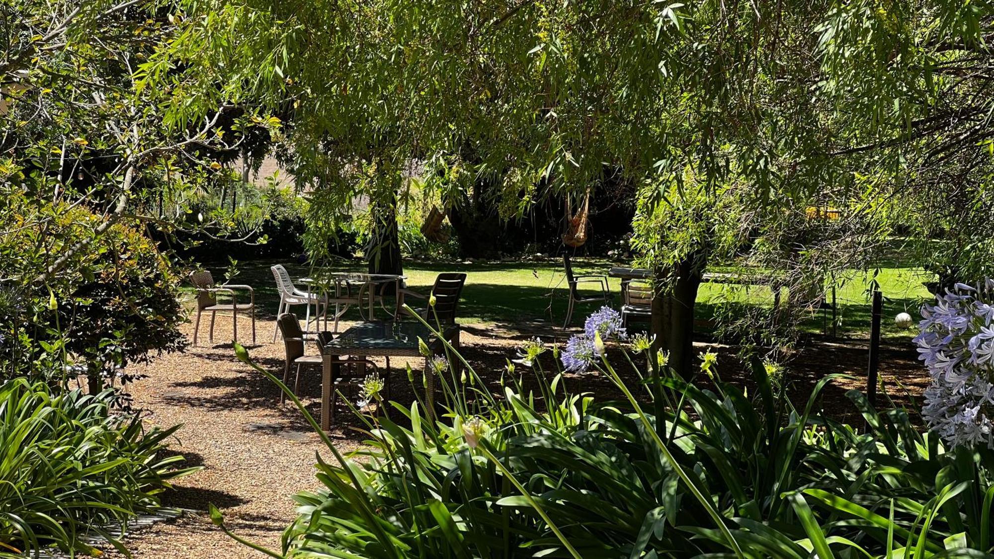 In The Vine Country Manor Guesthouse Stellenbosch Bagian luar foto