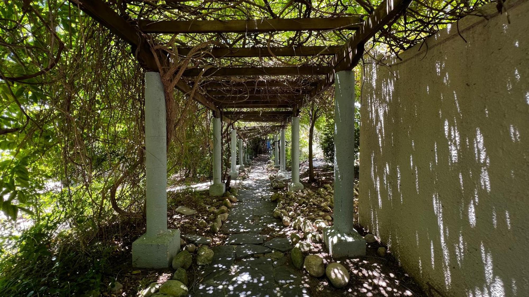 In The Vine Country Manor Guesthouse Stellenbosch Bagian luar foto