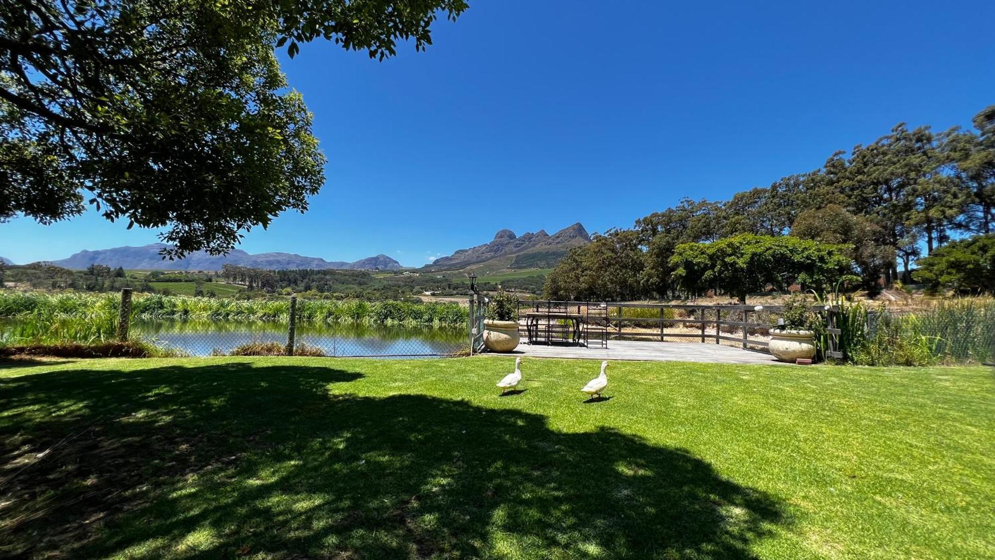 In The Vine Country Manor Guesthouse Stellenbosch Bagian luar foto