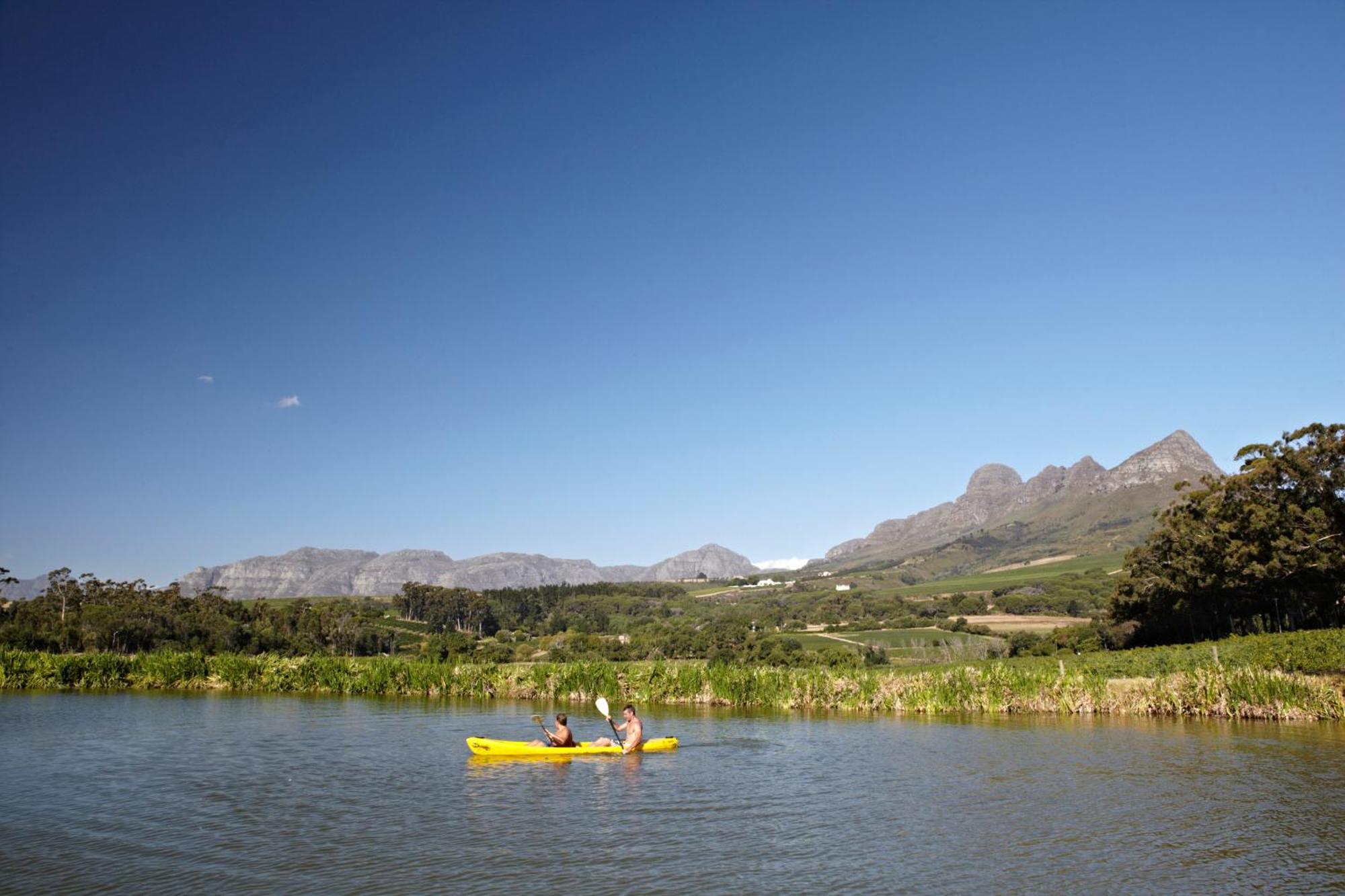 In The Vine Country Manor Guesthouse Stellenbosch Bagian luar foto