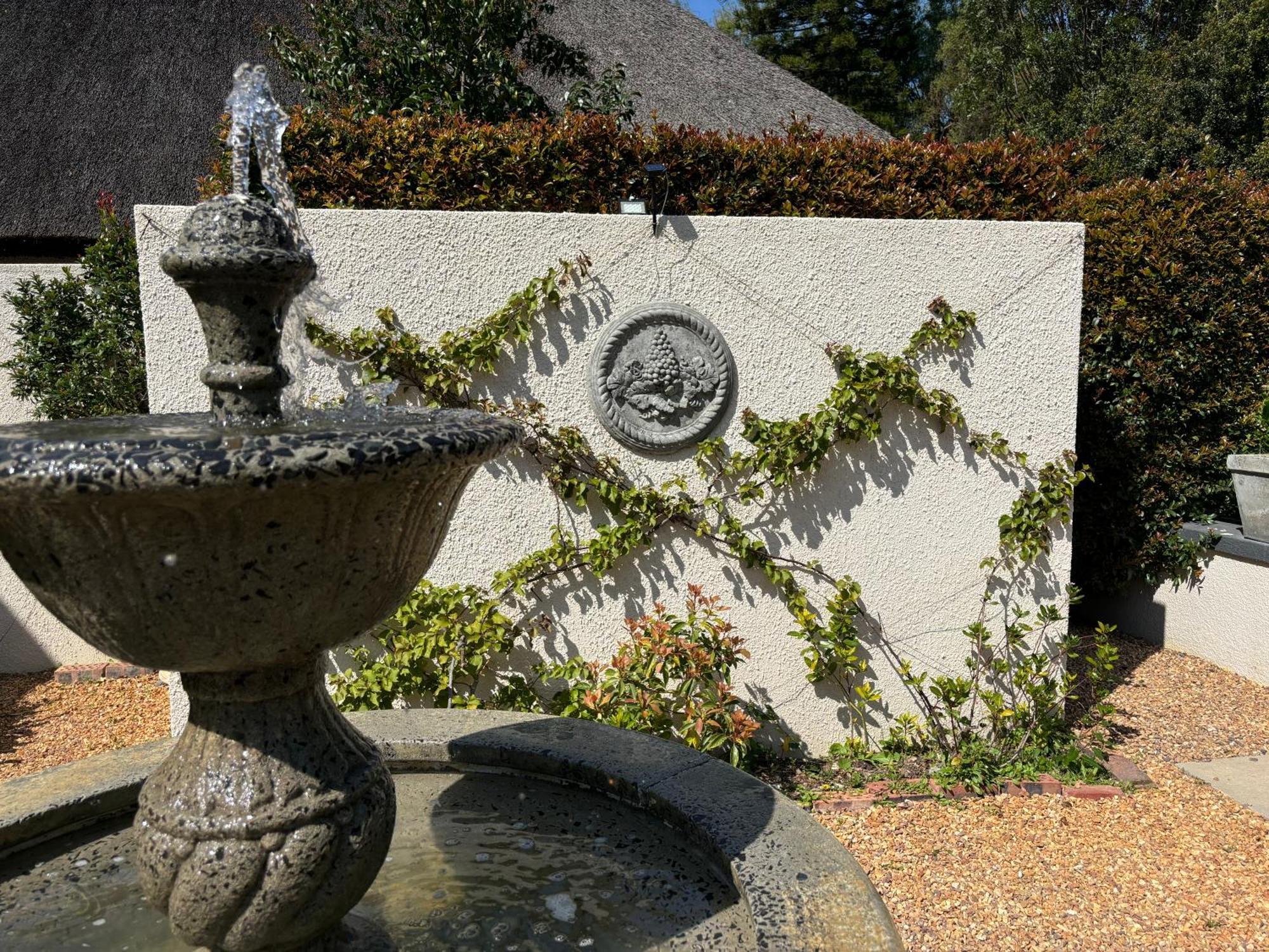 In The Vine Country Manor Guesthouse Stellenbosch Bagian luar foto